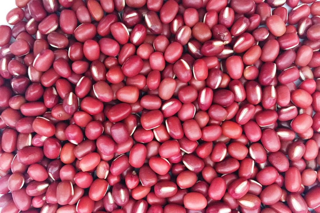 Pulses and Beans